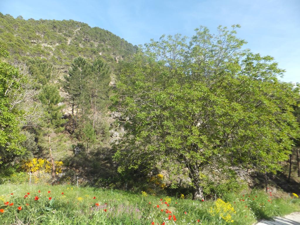 Penzion La Limonera Riópar Exteriér fotografie